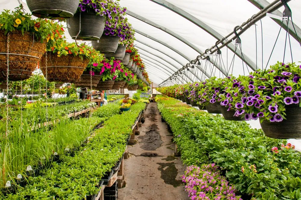 Affordable lawn care service for homes across Ladysmith, WI - Colonial Nursery