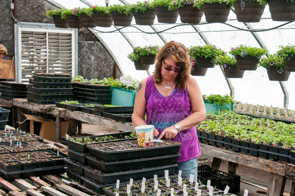 Trusted landscape design in Ladysmith, WI by Colonial Nursery