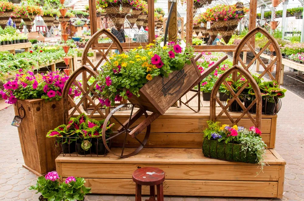 Top-rated yard cleanup service for year-round maintenance in Ladysmith, WI by Colonial Nursery