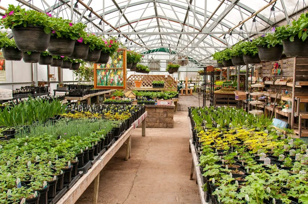 Custom landscape design experts serving Ladysmith, WI - Colonial Nursery