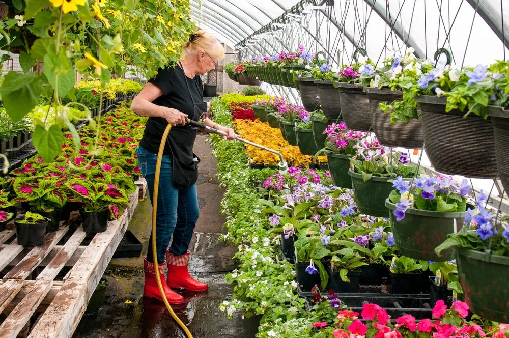 Professional yard cleanup service for beautiful yards in Ladysmith, WI by Colonial Nursery