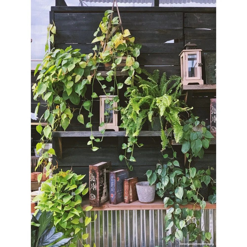 Professional landscaping services with custom design across Lincroft, NJ - Colonial Nursery