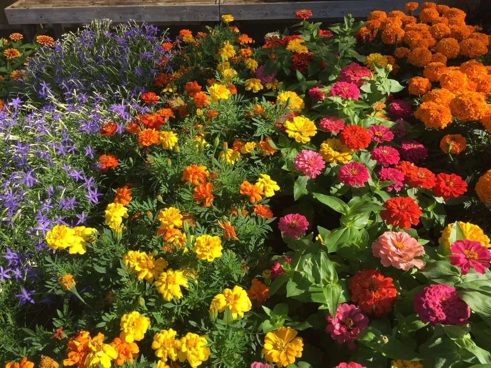 Reliable lawn mowing service in Lincroft, NJ - Colonial Nursery