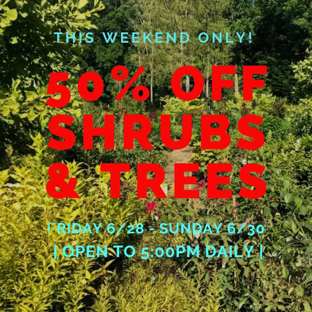 Custom residential landscaping in Lincroft, NJ by Colonial Nursery