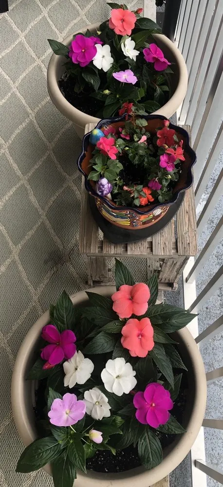 Affordable landscape design in Lincroft, NJ by Colonial Nursery