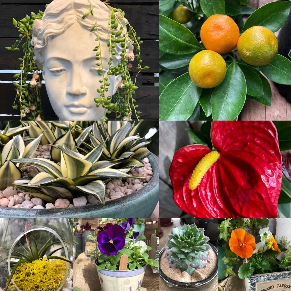 Local residential landscaping experts serving Lincroft, NJ - Colonial Nursery