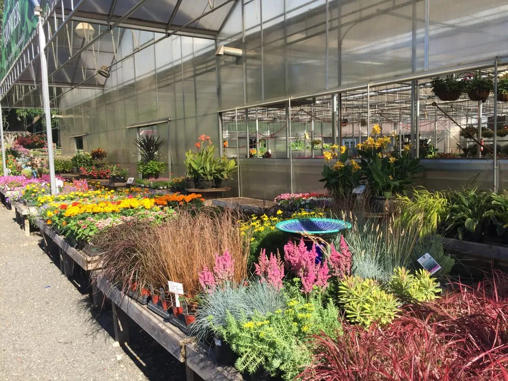 Affordable outdoor landscaping in Lincroft, NJ - Colonial Nursery