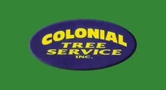 Reliable outdoor landscaping in Southampton, PA by Colonial Tree Service