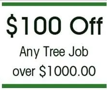 Local garden landscaping for year-round maintenance in Southampton, PA by Colonial Tree Service