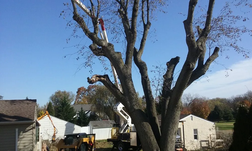 Professional landscape installation in Southampton, PA by Colonial Tree Service