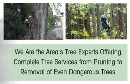 Affordable residential landscaping for year-round maintenance in Southampton, PA by Colonial Tree Service