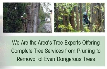 Affordable landscape design in Southampton, PA - Colonial Tree Service