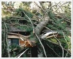 Local landscape installation in Southampton, PA by Colonial Tree Service