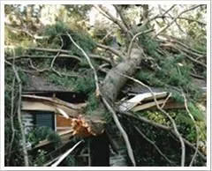 Local residential landscaping for year-round maintenance across Southampton, PA - Colonial Tree Service