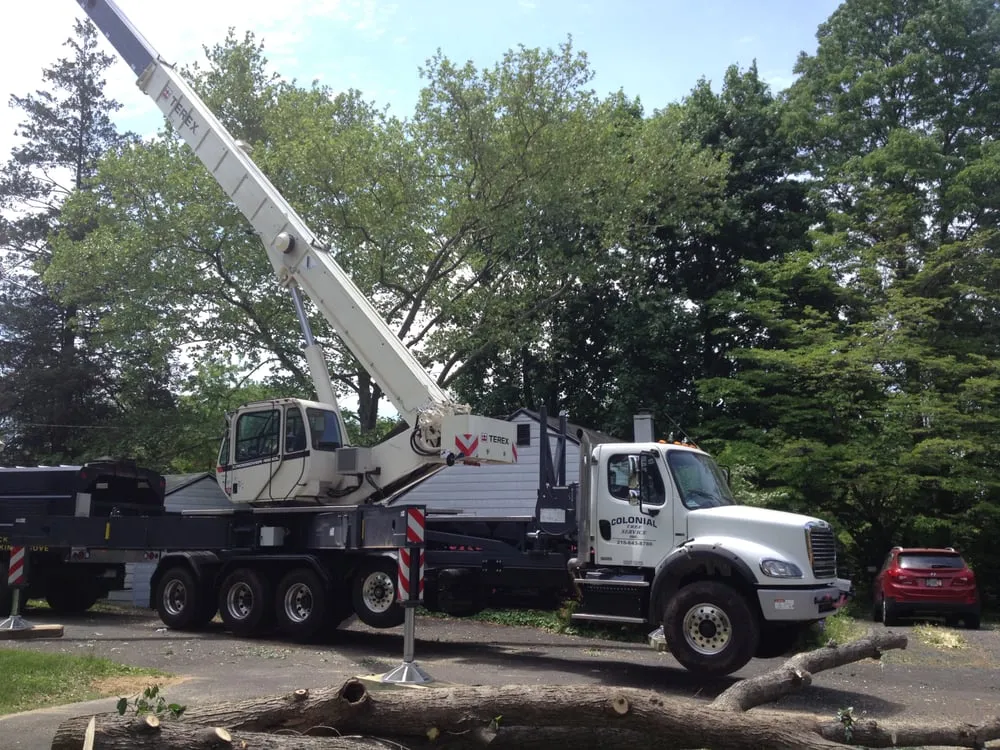 Reliable landscaping services in Southampton, PA - Colonial Tree Service