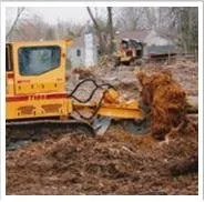 Local yard cleanup service for beautiful yards in Southampton, PA by Colonial Tree Service