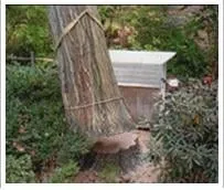 Expert landscaping services for homes across Southampton, PA - Colonial Tree Service