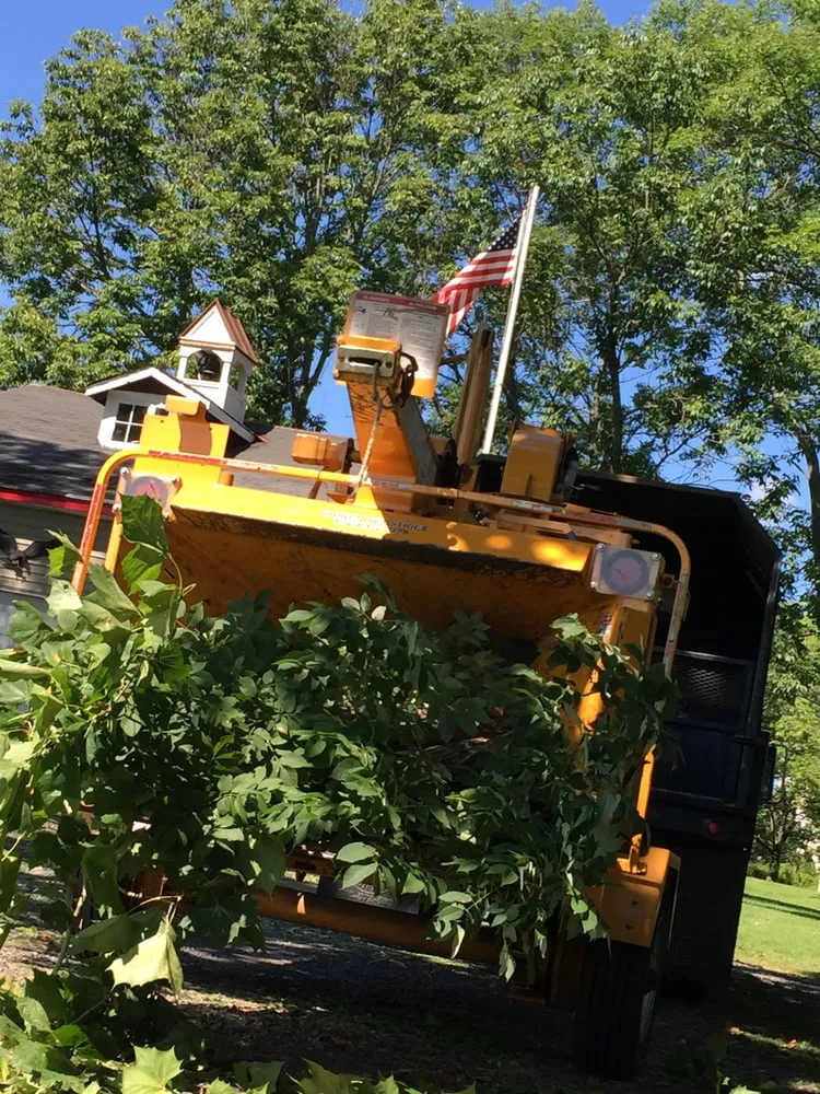 Local garden landscaping in Southampton, PA by Colonial Tree Service
