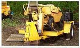 Local garden landscaping in Southampton, PA - Colonial Tree Service