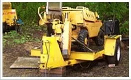 Custom landscaping services experts serving Southampton, PA - Colonial Tree Service