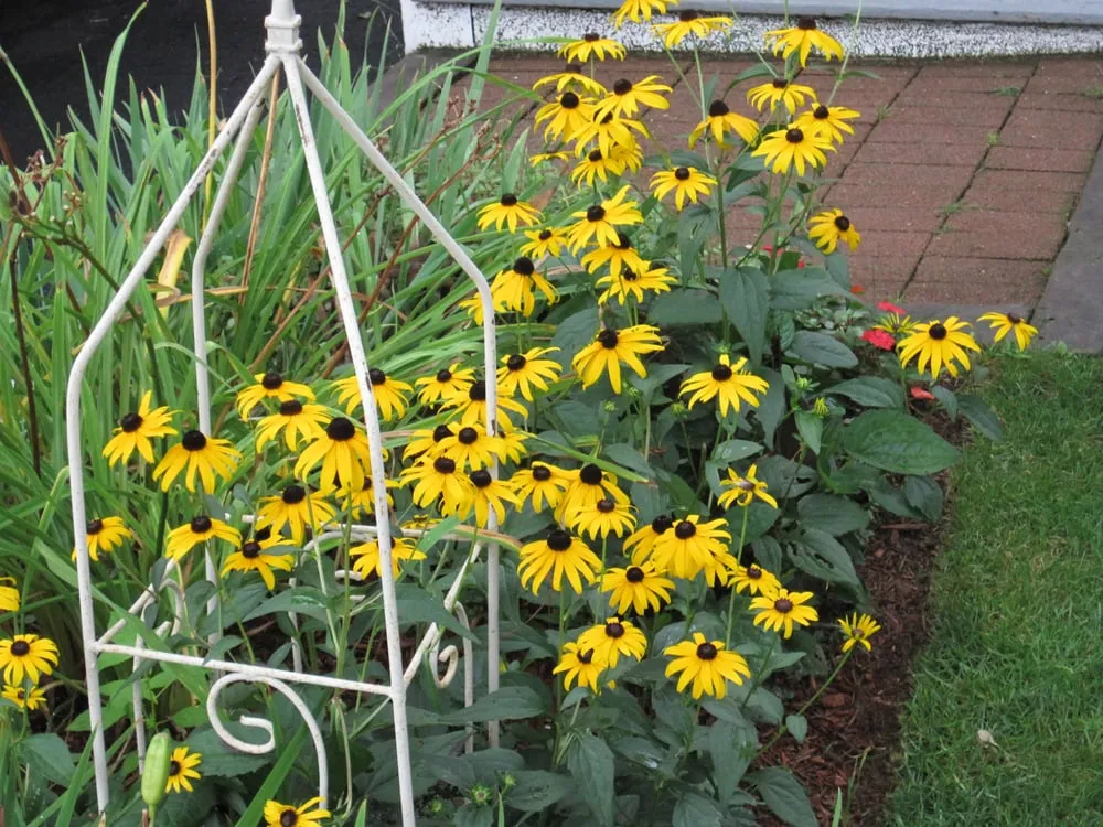 Custom landscape installation experts serving Needham, MA - Colonial West Landscaping