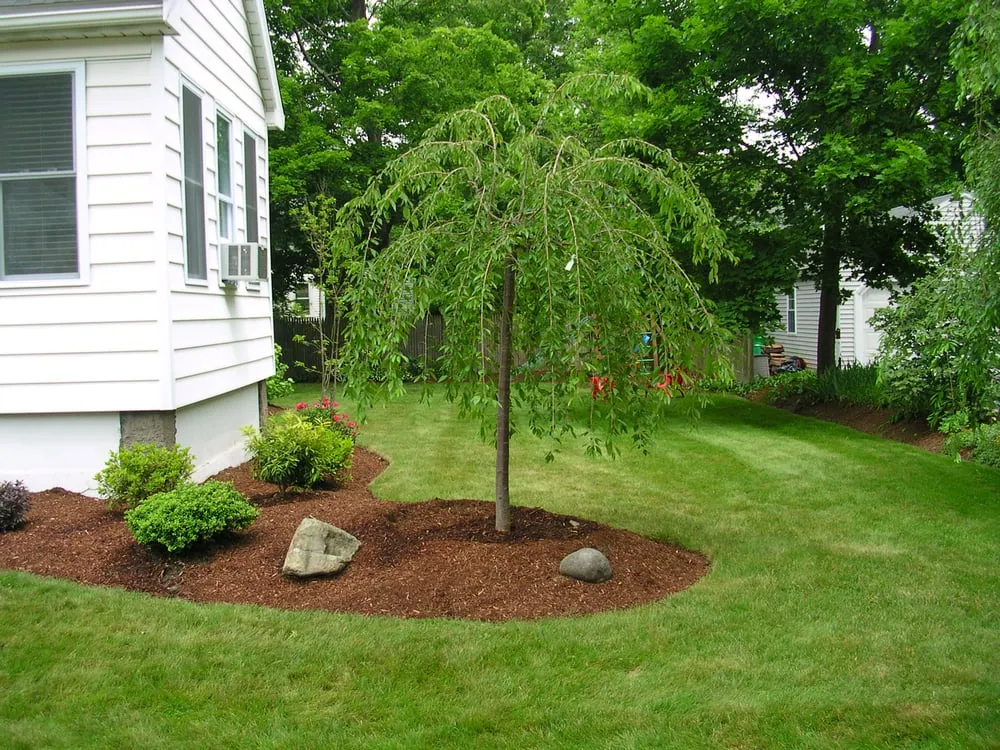 Affordable lawn mowing service in Needham, MA by Colonial West Landscaping