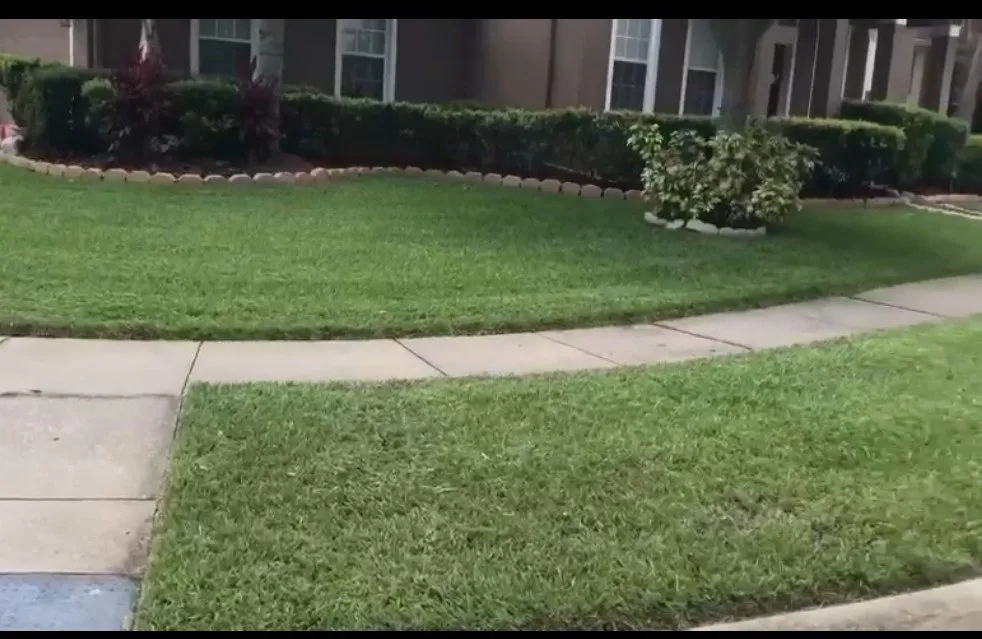 Affordable yard maintenance for residential properties across Kissimmee, FL - Color Beautify Lawn Services