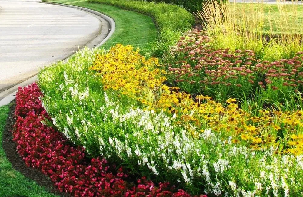 Affordable lawn mowing service in Kissimmee, FL - Color Beautify Lawn Services