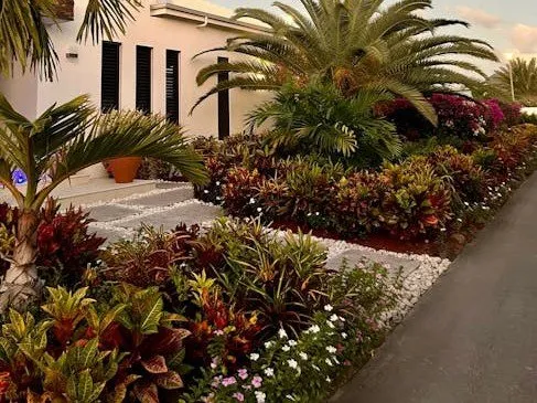 Professional lawn care service for year-round maintenance in Kissimmee, FL by Color Beautify Lawn Services