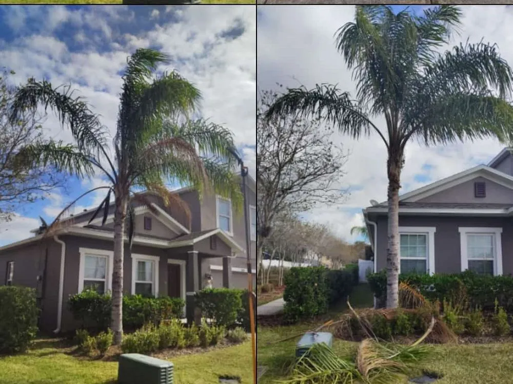 Trusted yard cleanup service in Kissimmee, FL - Color Beautify Lawn Services