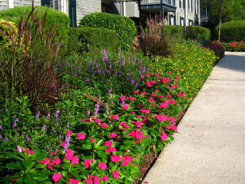 Affordable landscape design with custom design in Lawrenceville, GA by Color Burst