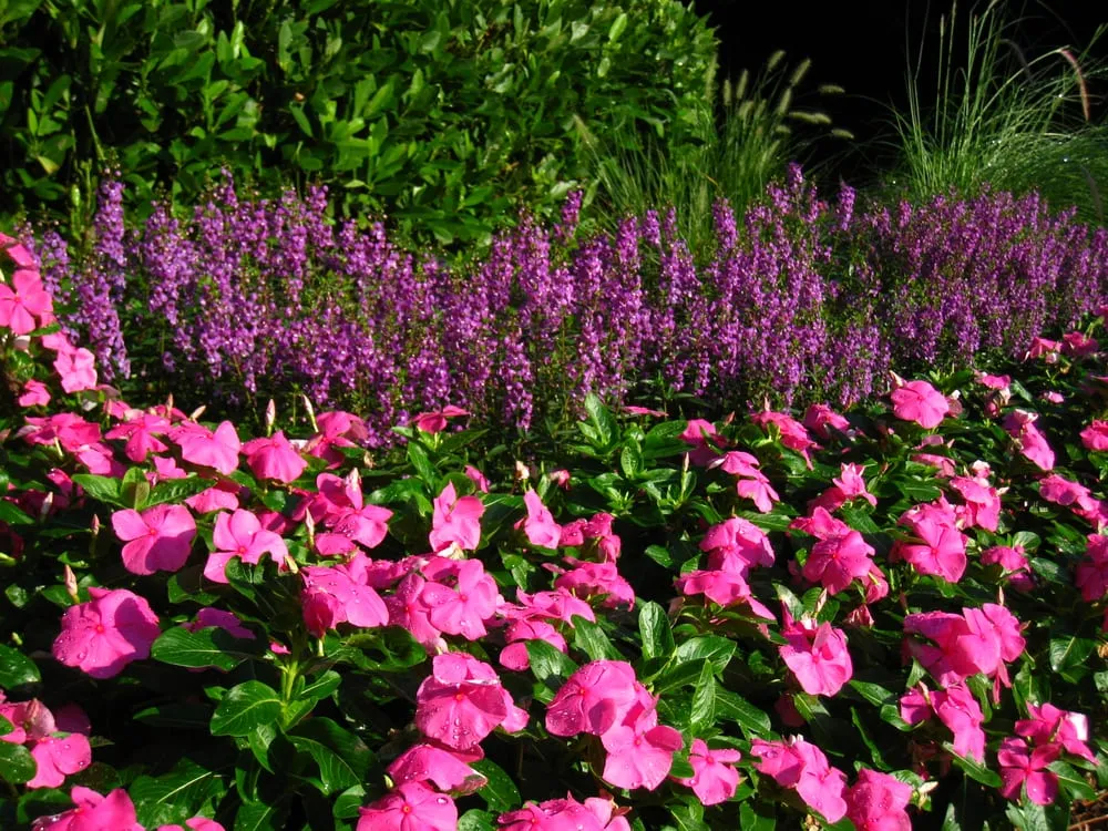 Top-rated landscaping services in Lawrenceville, GA - Color Burst