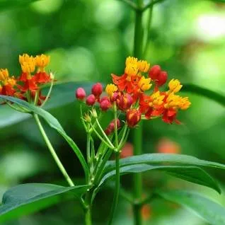 Color The World Llc Logo