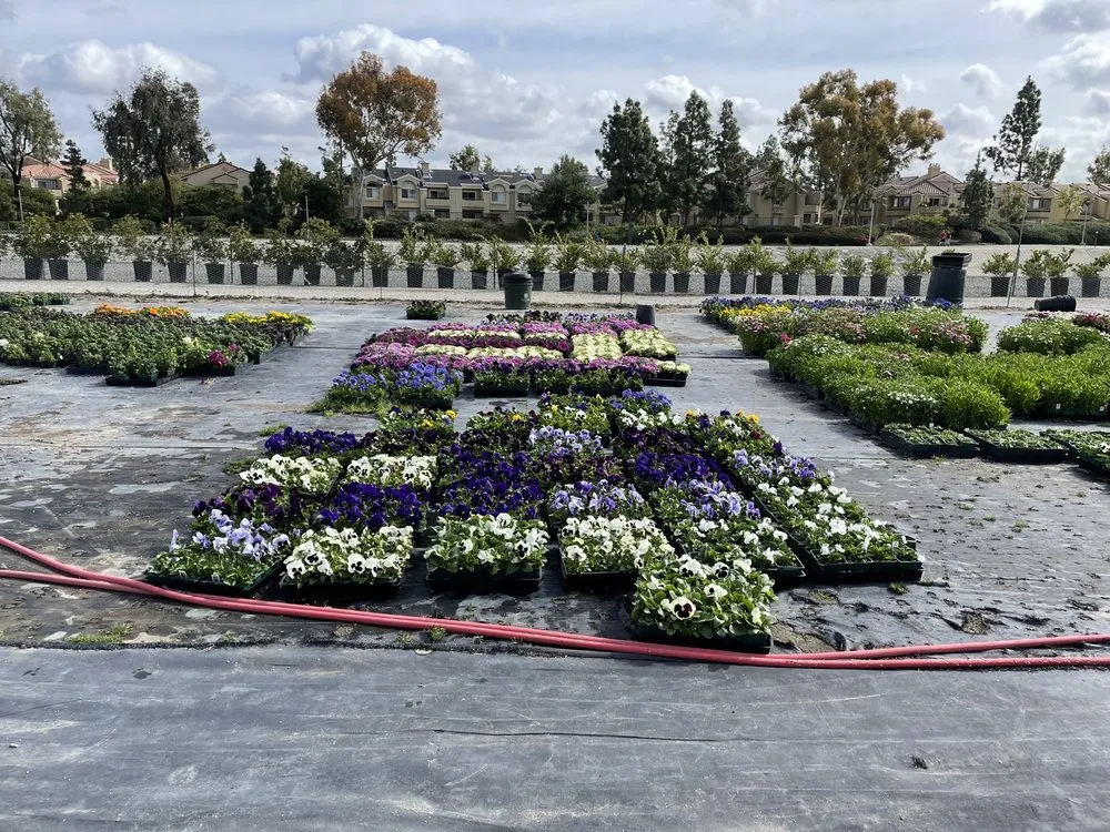 Trusted yard maintenance for beautiful yards in Irvine, CA by Color Town