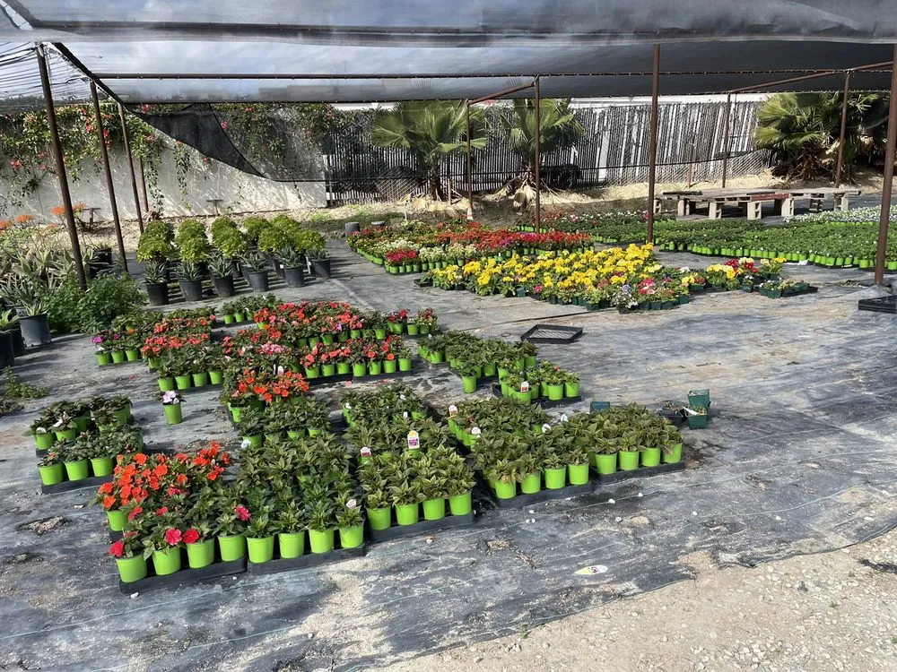 Expert landscape design experts serving Irvine, CA - Color Town