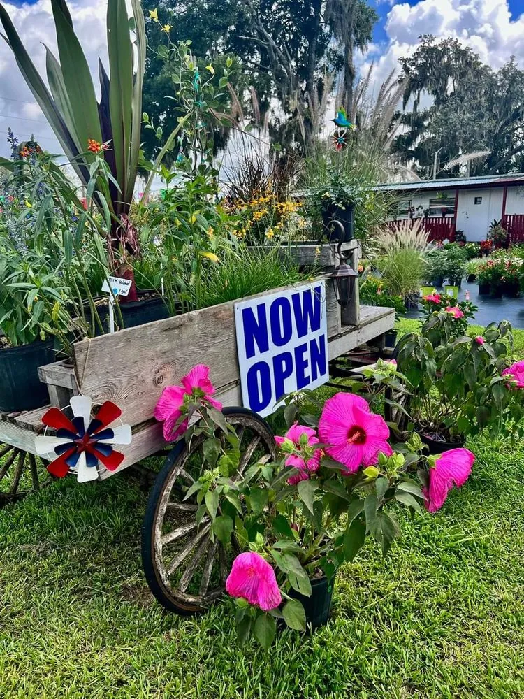 Reliable yard cleanup service in Belleview, FL by Color Your World Lawn & Garden Center