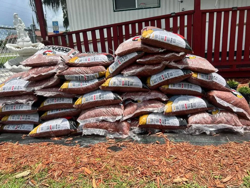 Top-rated garden landscaping for outdoor upgrades in Belleview, FL by Color Your World Lawn & Garden Center