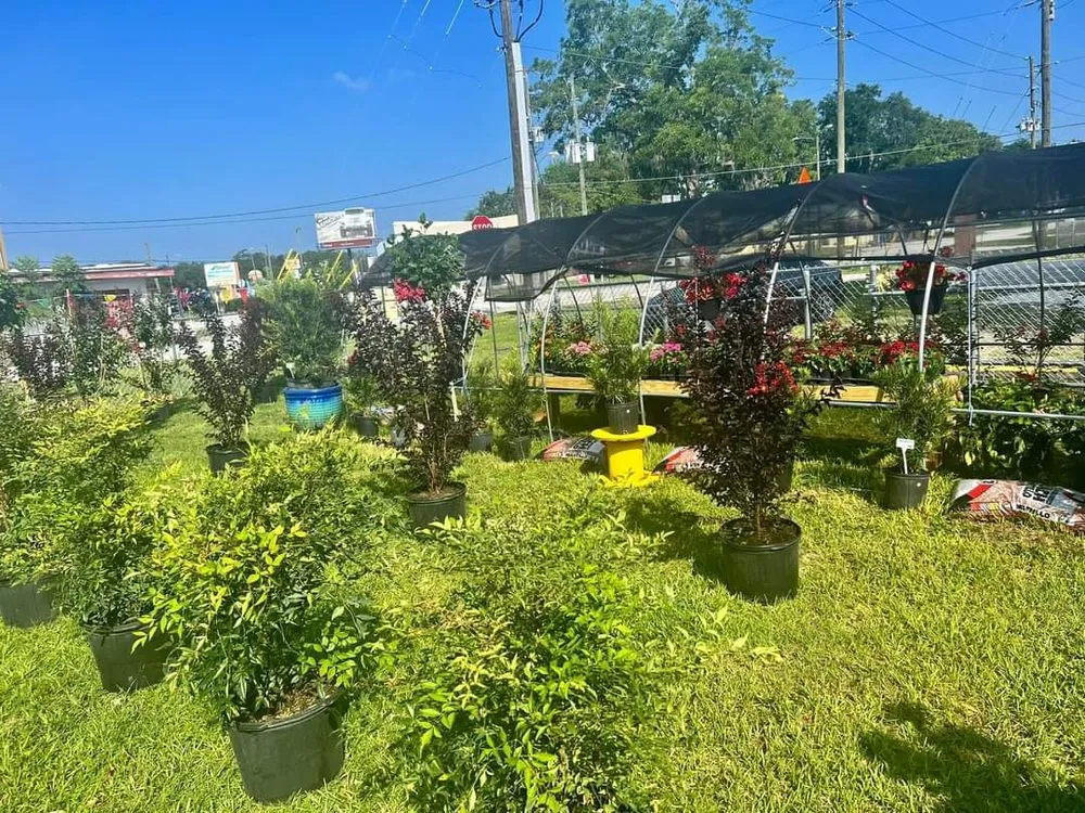 Affordable residential landscaping in Belleview, FL by Color Your World Lawn & Garden Center