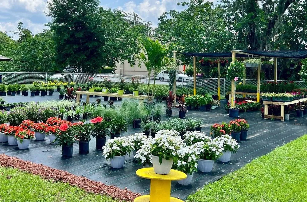 Custom landscaping services in Belleview, FL - Color Your World Lawn & Garden Center