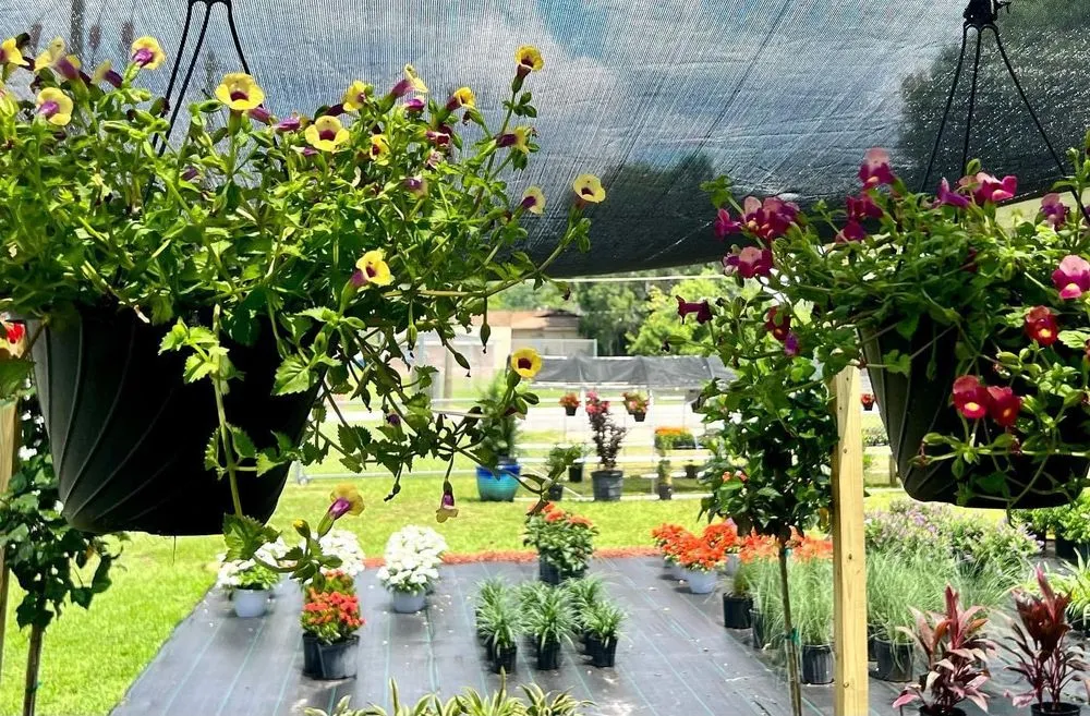 Trusted residential landscaping in Belleview, FL - Color Your World Lawn & Garden Center