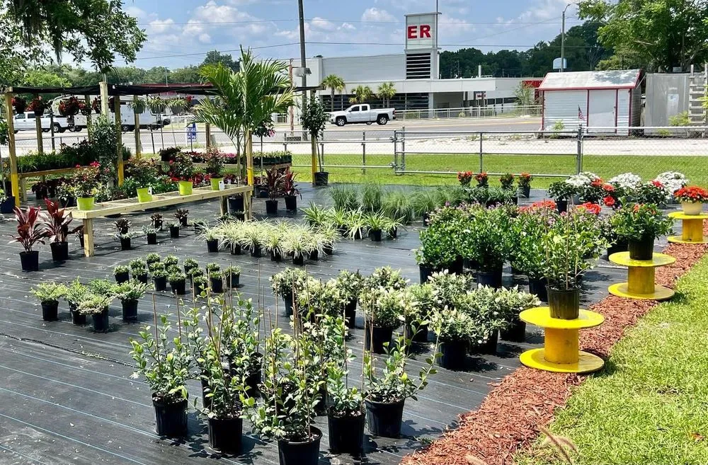 Reliable landscape installation in Belleview, FL by Color Your World Lawn & Garden Center