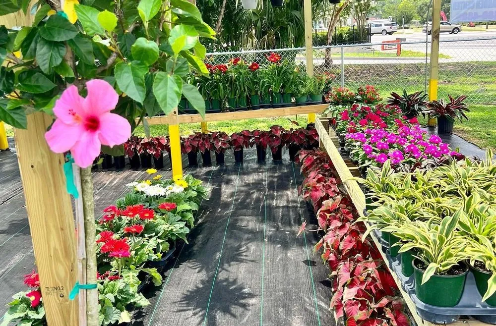 Professional yard maintenance for residential properties in Belleview, FL by Color Your World Lawn & Garden Center