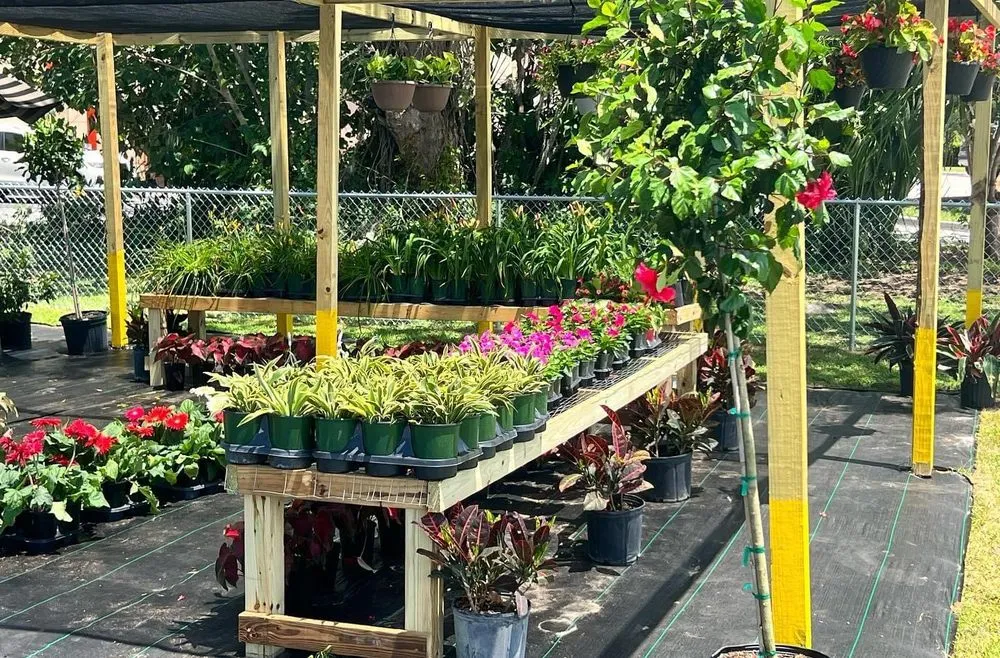 Custom residential landscaping in Belleview, FL - Color Your World Lawn & Garden Center