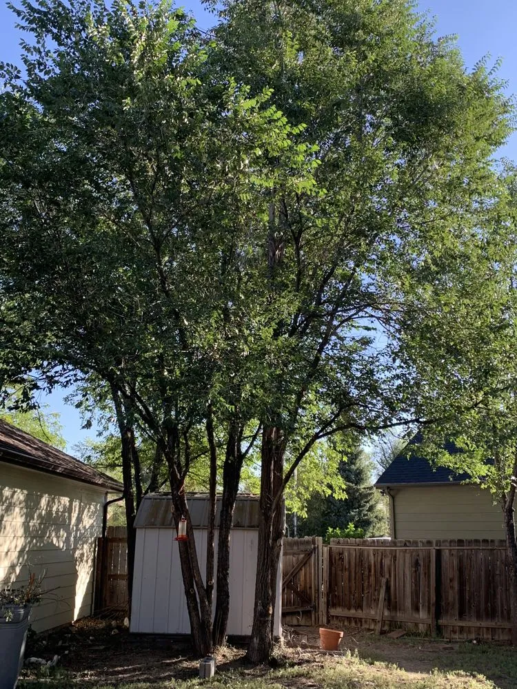 Reliable landscape design in Colorado Springs, CO - Colorado All Trades