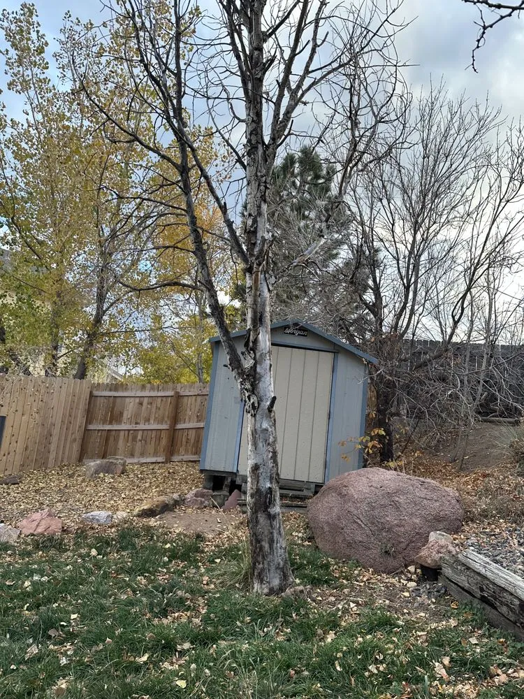 Local garden landscaping for residential properties across Colorado Springs, CO - Colorado All Trades