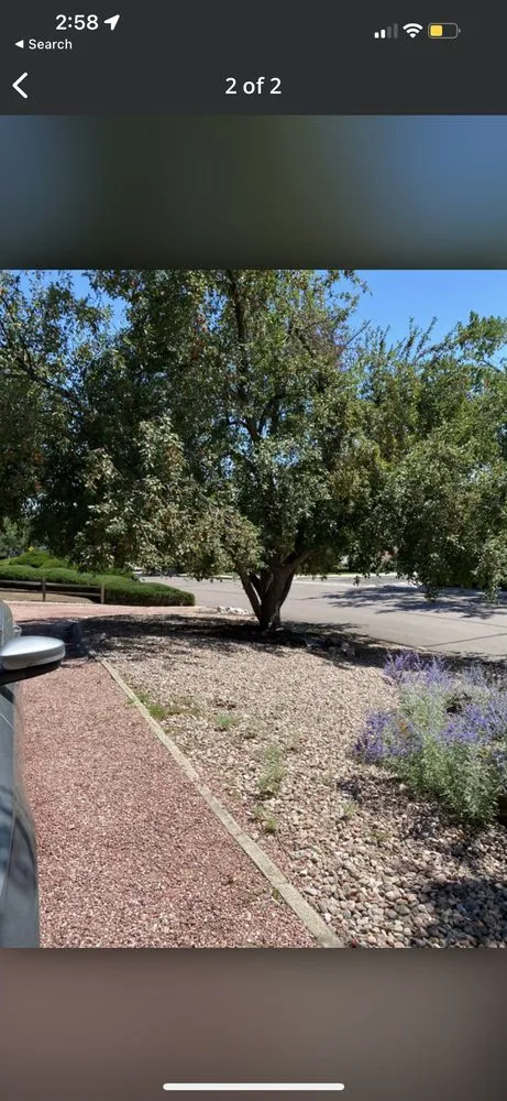 Reliable yard maintenance in Colorado Springs, CO - Colorado All Trades