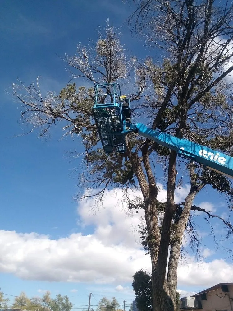 Custom yard cleanup service experts serving Colorado Springs, CO - Colorado All Trades