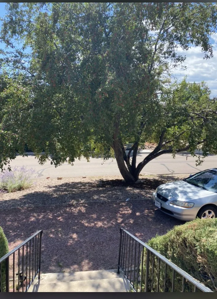 Affordable yard maintenance in Colorado Springs, CO by Colorado All Trades