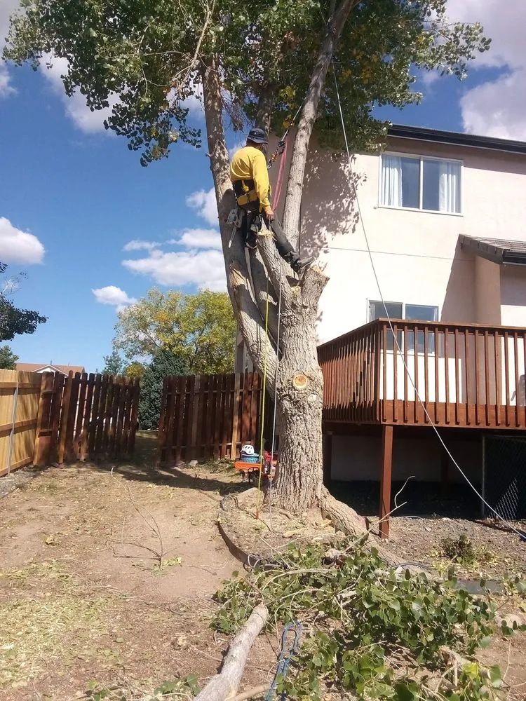 Custom outdoor landscaping for outdoor upgrades in Colorado Springs, CO by Colorado All Trades