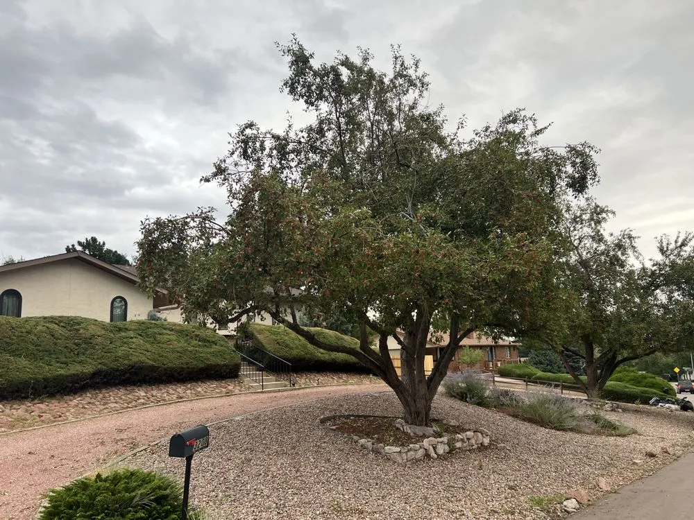 Reliable landscaping services in Colorado Springs, CO - Colorado All Trades